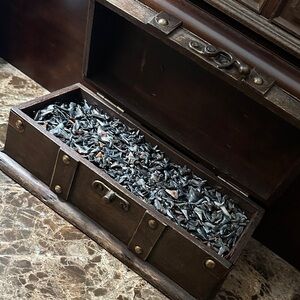 Authentic Collection of 10,000 Floridian Shark Teeth & Chest 🏴‍☠️